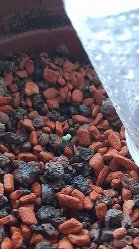 Growreport Bild 10