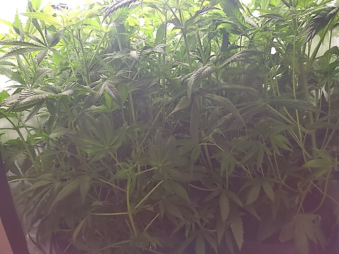 Growreport Bild 22