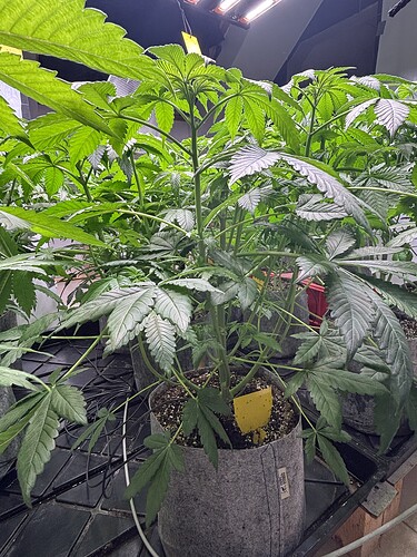 Growreport Bild 21