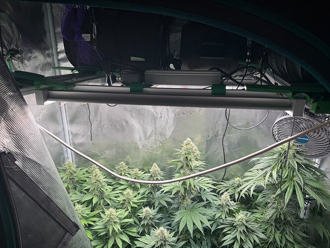 Growreport Bild 10