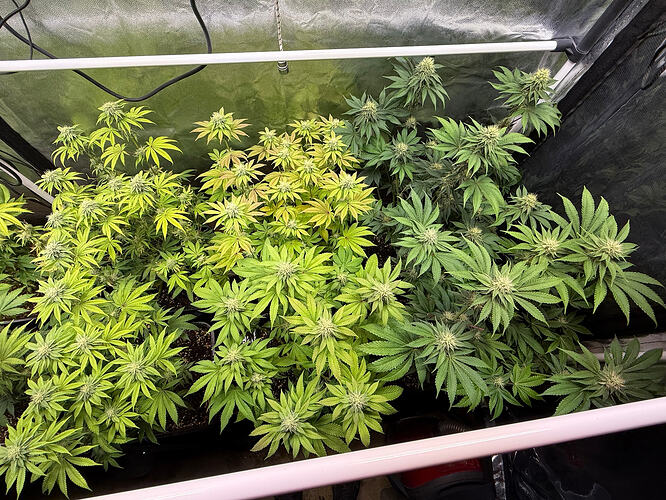 Growreport Bild 2