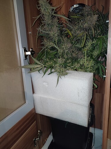 Growreport Bild 15