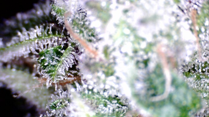 WIN_20241101_08_52_50_Pro