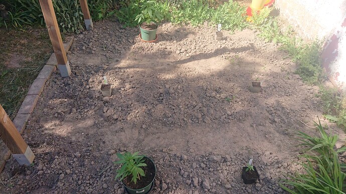 Growreport Bild 30