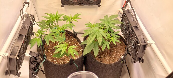 Growreport Bild 7