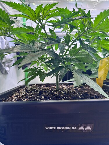 Growreport Bild 23