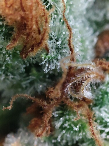 Growreport Bild 21