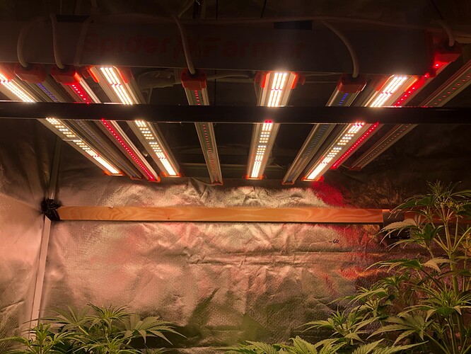 Growreport Bild 12