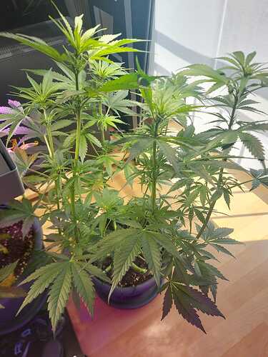 WhatsApp Image 2024-07-24 at 16.49.50 (2)