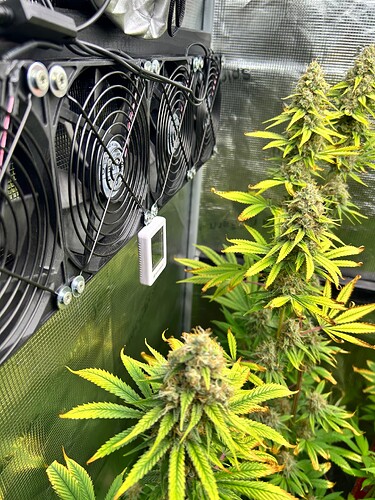 Growreport Bild 8