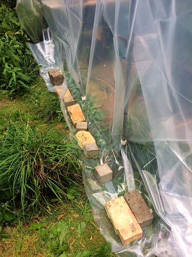 Grow26_0730_12