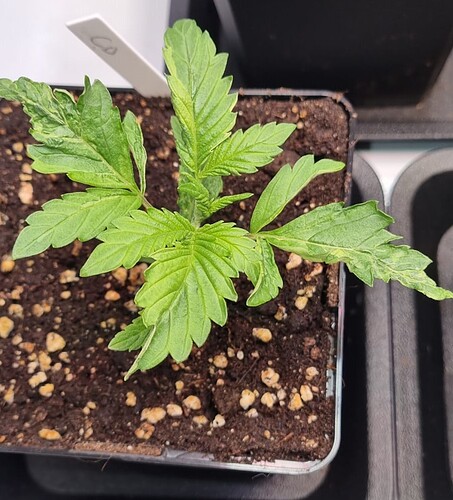 WhatsApp Image 2024-11-06 at 18.30.45 (1)