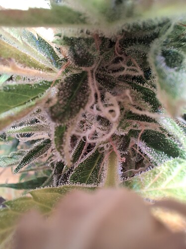 Growreport Bild 22