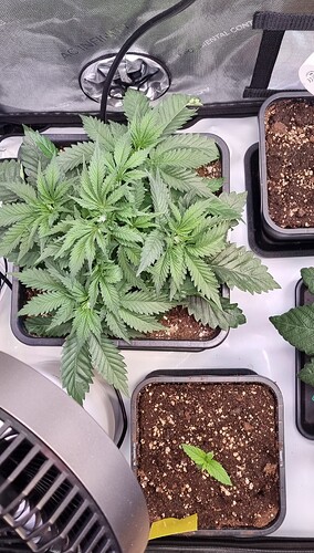 Growreport Bild 21