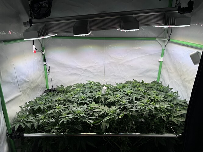 Growreport Bild 12