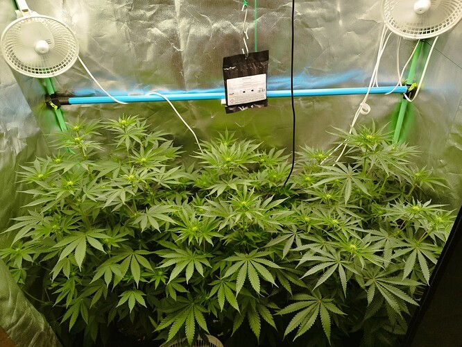 Growreport Bild 1