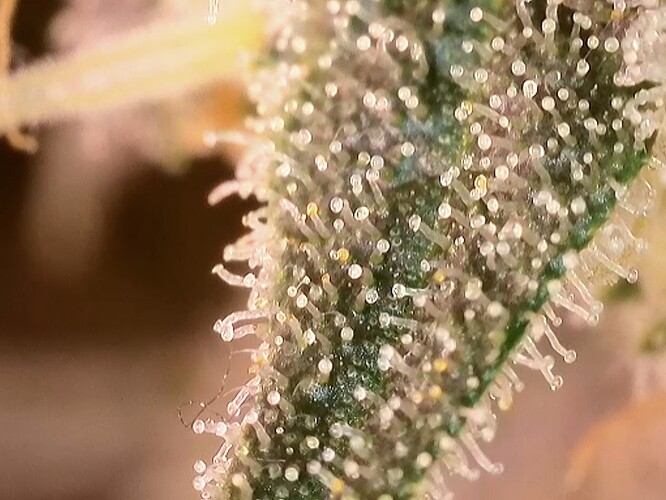 2024-07-26-11-47-18-945