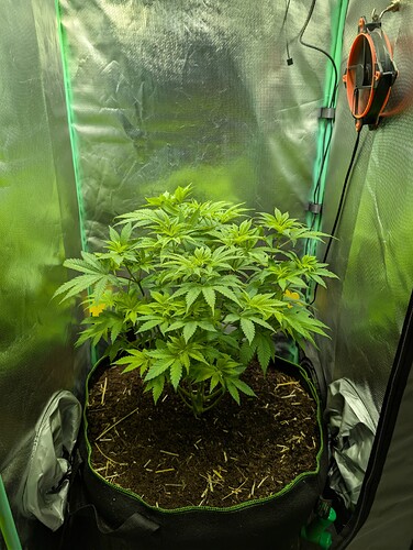 Growreport Bild 1