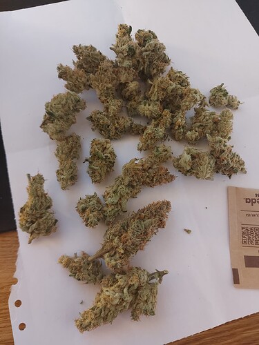 Growreport Bild 2