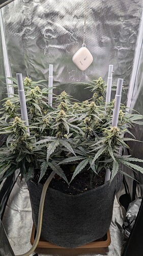 PXL_20250514_124902155