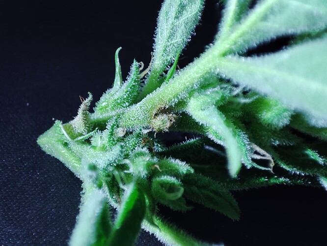 Growreport Bild 2