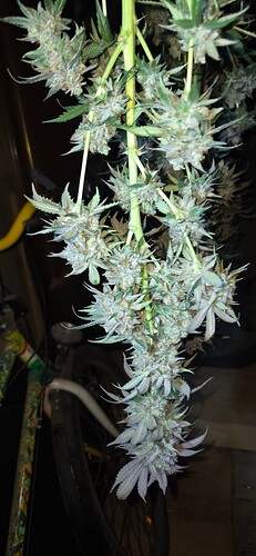 Growreport Bild 53