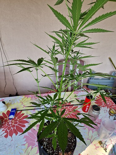 Growreport Bild 15
