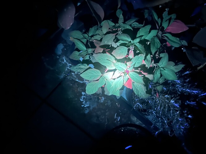 Growreport Bild 4