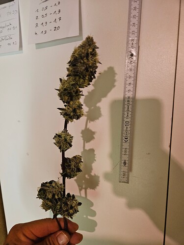 Growreport Bild 1