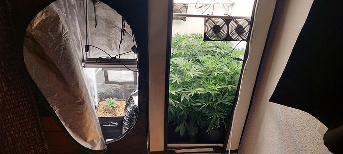 Growreport Bild 1