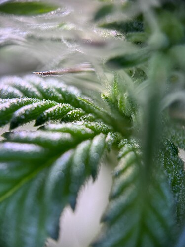 Growreport Bild 24