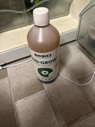 Growreport Bild 24