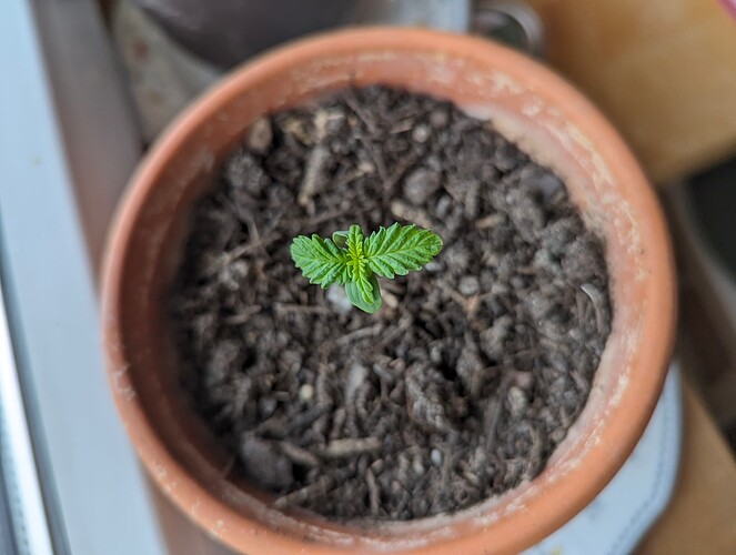 PXL_20240424_073710853.MP