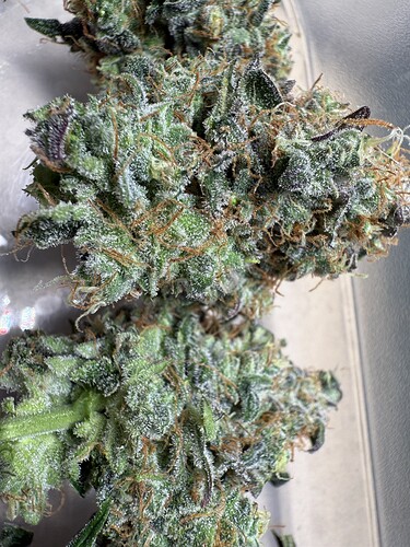 Growreport Bild 8