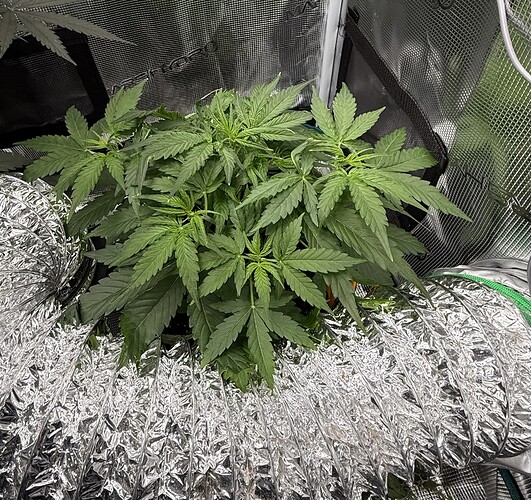 Growreport Bild 26