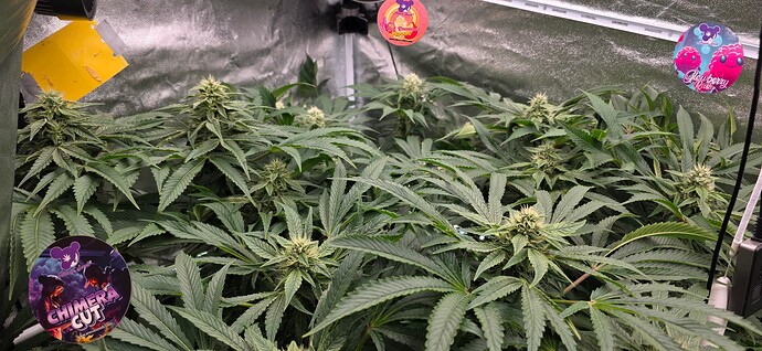 Growreport Bild 10