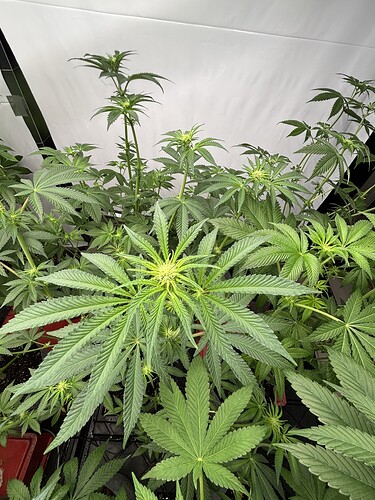 Growreport Bild 13
