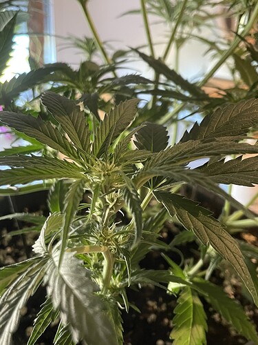 Growreport Bild 10