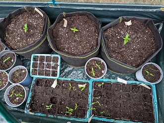 PXL_20250413_065144556