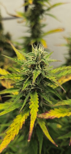 Growreport Bild 13