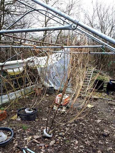 Growreport Bild 5