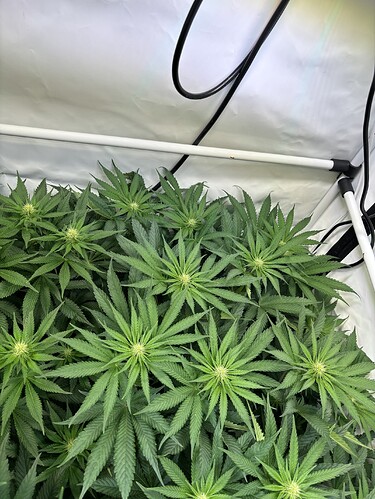Growreport Bild 5
