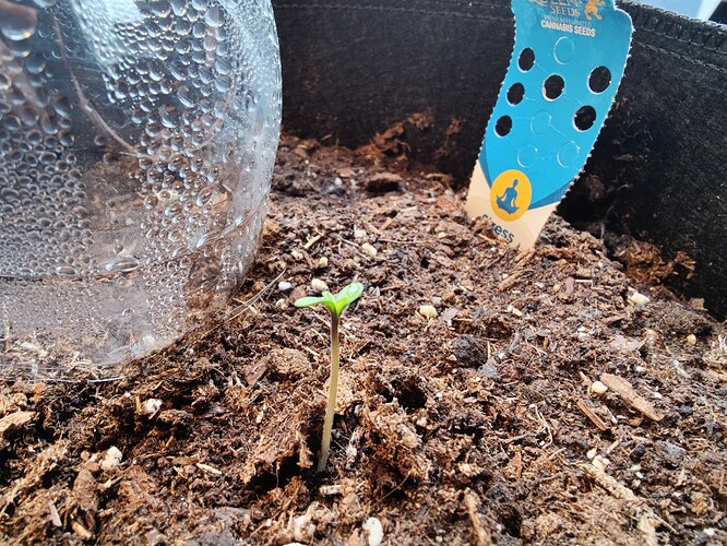 Growreport Bild 3