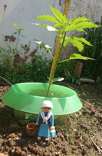 Growreport Bild 9
