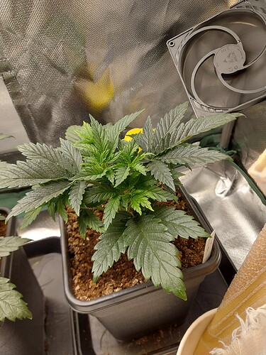 Growreport Bild 8