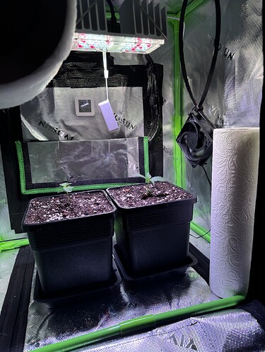 Growreport Bild 1