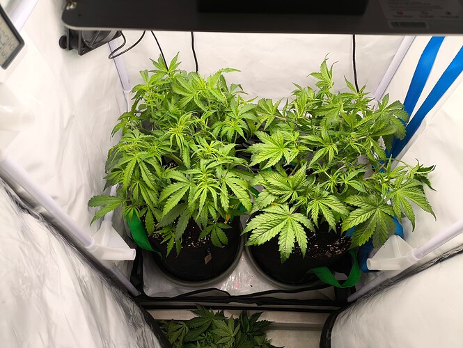 Growreport Bild 24