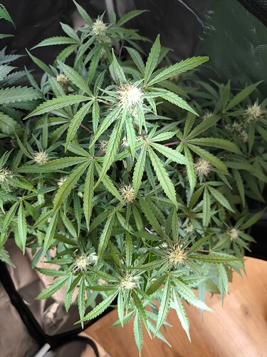 Growreport Bild 10