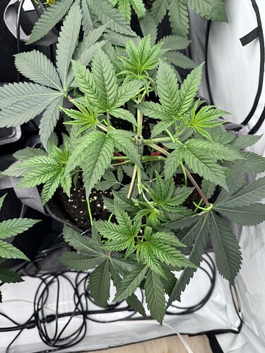 Growreport Bild 4
