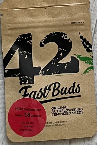 42 Fast Buds
